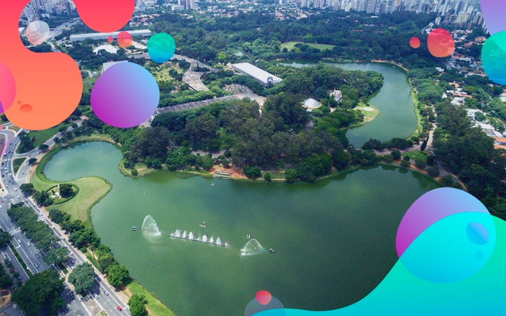 Despolui&ccedil;&atilde;o dos lagos do Ibirapuera ser&aacute; feita com plantas filtrantes nativas