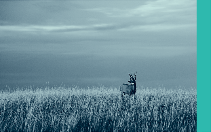 6&ordm; Pr&ecirc;mio Fecomercio de Sustentabilidade recebe inscri&ccedil;&otilde;es de &oacute;rg&atilde;os p&uacute;blicos