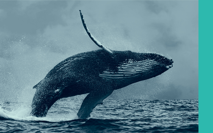 Conhe&ccedil;a os finalistas da 6&ordf; edi&ccedil;&atilde;o do Pr&ecirc;mio Fecomercio de Sustentabilidade