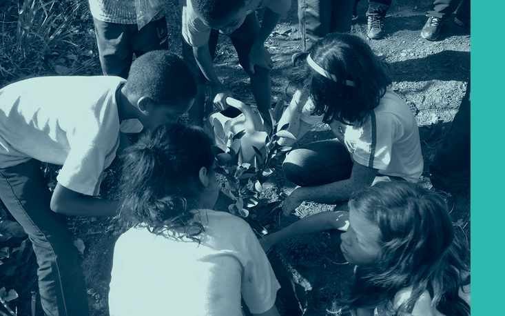 Projeto mineiro de educa&ccedil;&atilde;o ambiental &eacute; ganhador da categoria &Oacute;rg&atilde;o P&uacute;blico do 6&ordm; Pr&ecirc;mio Fecomercio de Sustentabilidade