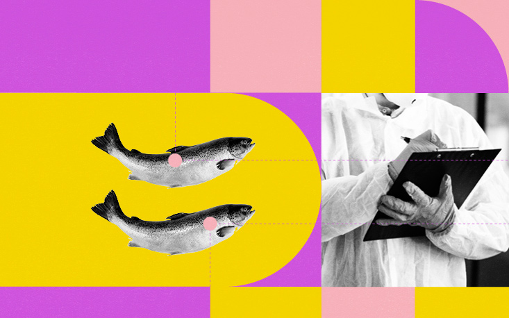 Instru&ccedil;&atilde;o normativa acelera reinspe&ccedil;&atilde;o de alimentos importados de origem animal