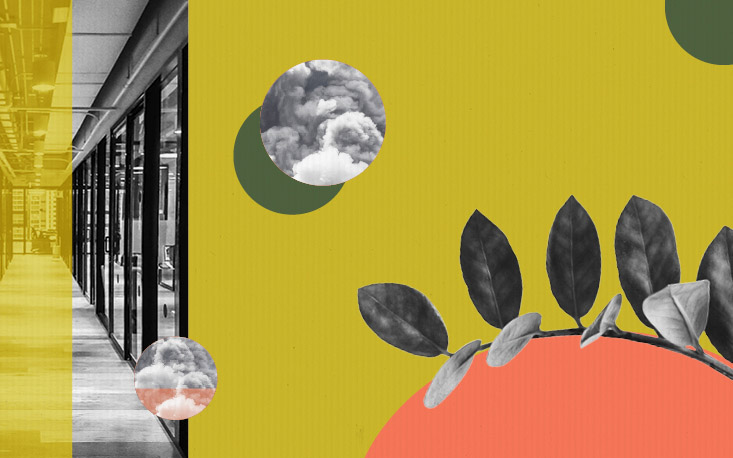 FecomercioSP contribui com sugest&otilde;es para o Plano de A&ccedil;&atilde;o Clim&aacute;tica do Estado de S&atilde;o Paulo