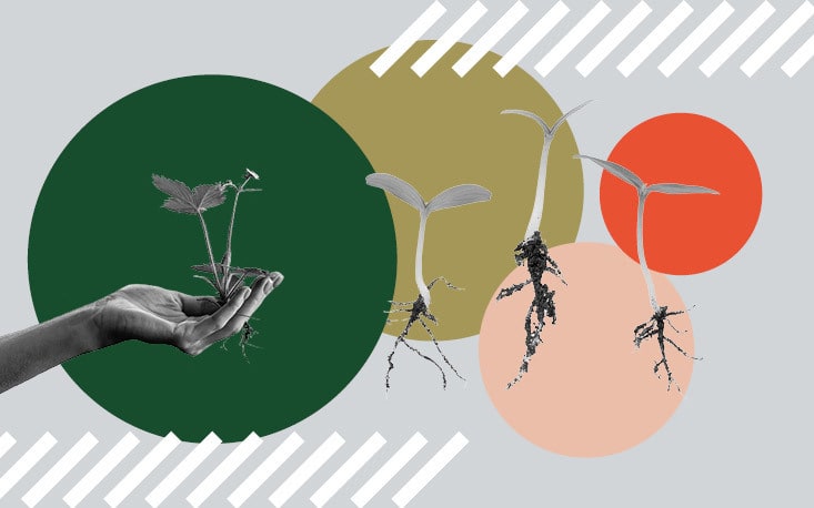 Sustentabilidade: ingresso do Brasil na OCDE vai impactar ind&uacute;stria e com&eacute;rcio, diz Jos&eacute; Goldemberg