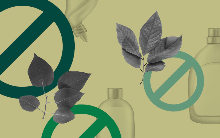 &ldquo;Greenwashing&rdquo;: mentir e induzir consumidor a erro pode manchar imagem do neg&oacute;cio 