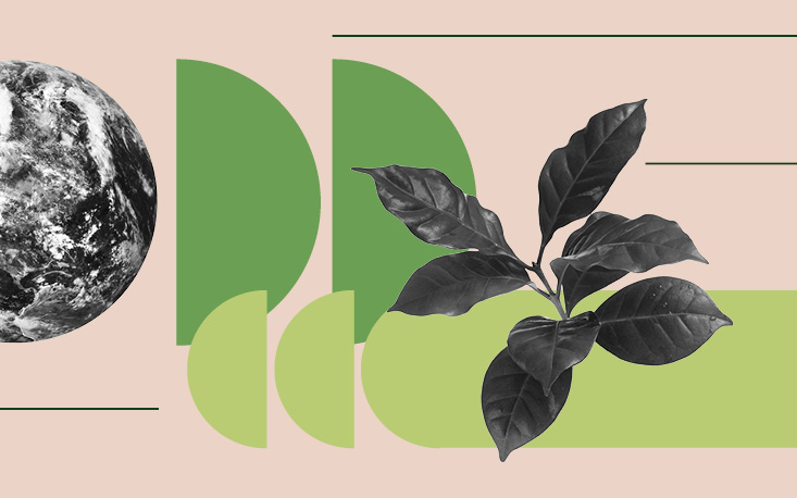 ESG: Pr&aacute;tica Recomendada ABNT auxilia pequenas empresas que buscam implementar agenda