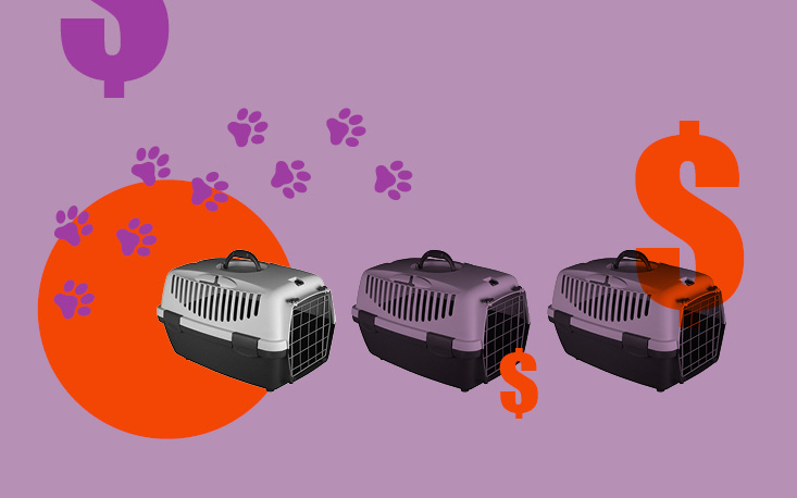 FecomercioSP e Sindilojas-SP defendem veto a PL que prejudica petshops do Estado e p&otilde;e animais em risco