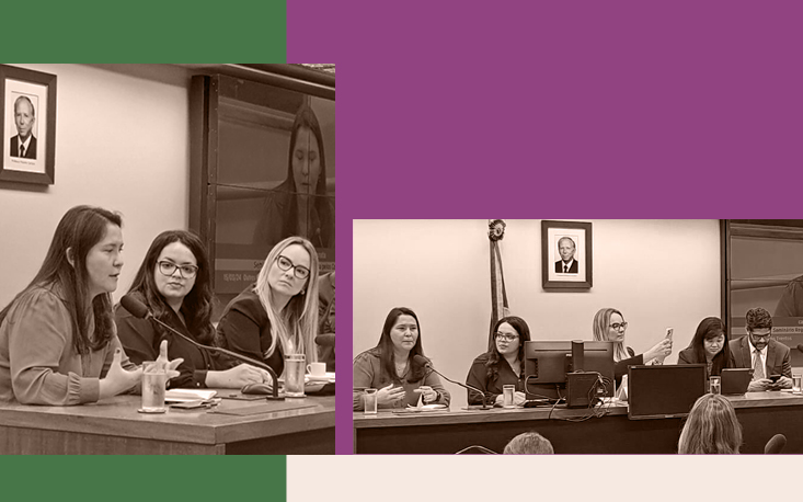 FecomercioSP defende as cria&ccedil;&otilde;es de um C&oacute;digo e do Conselho de Defesa do Contribuinte nacional