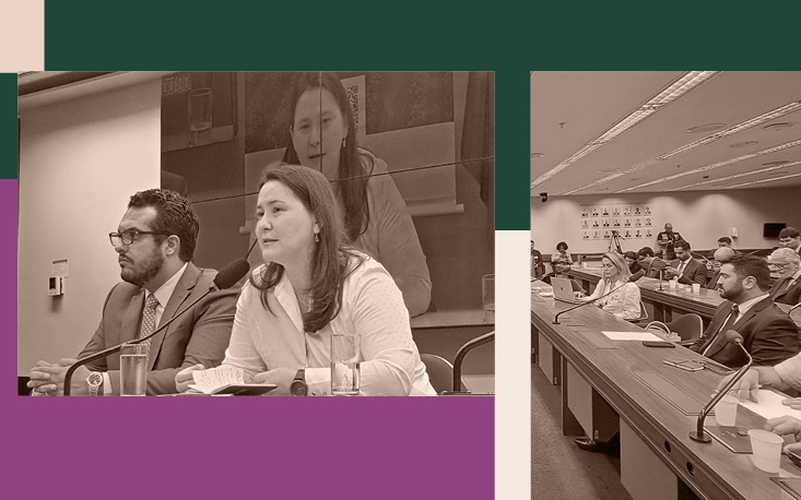 FecomercioSP defende al&iacute;quota zero para cesta b&aacute;sica