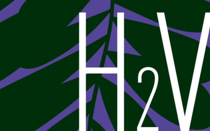 Novo Marco Legal do Hidrog&ecirc;nio apresenta avan&ccedil;os, mas ainda faltam incentivos para &lsquo;reindustrializa&ccedil;&atilde;o verde&rsquo;