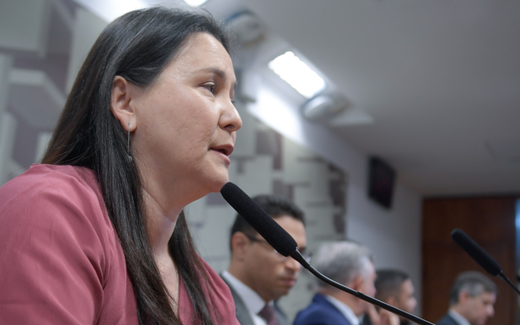 Foto: Saulo Cruz/Ag&ecirc;ncia Senado