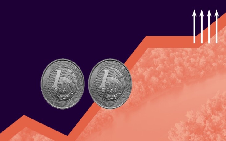 Pequenas empresas, grandes impactos: startups com prop&oacute;sito socioambiental ganham espa&ccedil;o no Brasil, mas falta apoio financeiro