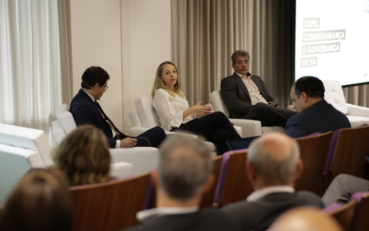 Prote&ccedil;&atilde;o de dados e seguran&ccedil;a cibern&eacute;tica em 2025: caminhos para a prote&ccedil;&atilde;o jur&iacute;dica