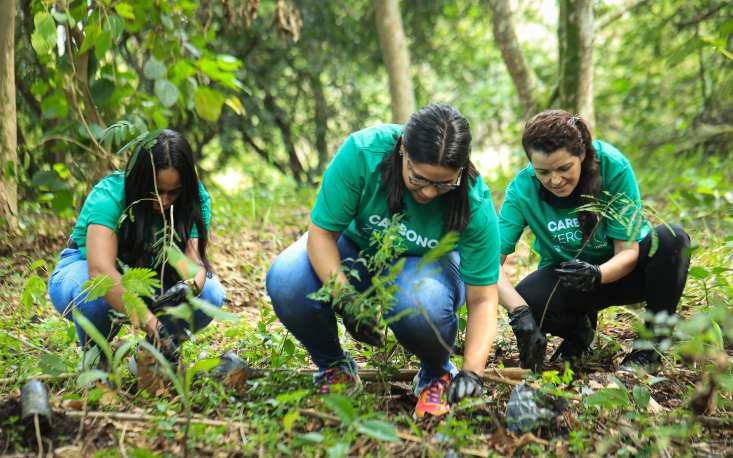 P&acirc;mela Vivas, Daniele Silva e Alexsandra Ricci durante o plantio das mudas (Cr&eacute;dito: Edilson Dias/FecomercioSP)