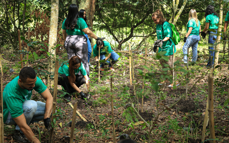 O plantio realizado reflorestou uma &aacute;rea equivalente a mais de 700 metros quadrados (Cr&eacute;dito: Edilson Dias/FecomercioSP)