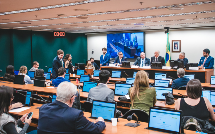 FecomercioSP cobra legisla&ccedil;&atilde;o penal mais r&iacute;gida e refor&ccedil;o no policiamento urbano em audi&ecirc;ncia na C&acirc;mara dos Deputados