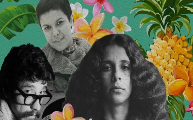 Gal, Elis e Raul: vozes e transgress&otilde;es que contribu&iacute;ram para moldar a MPB