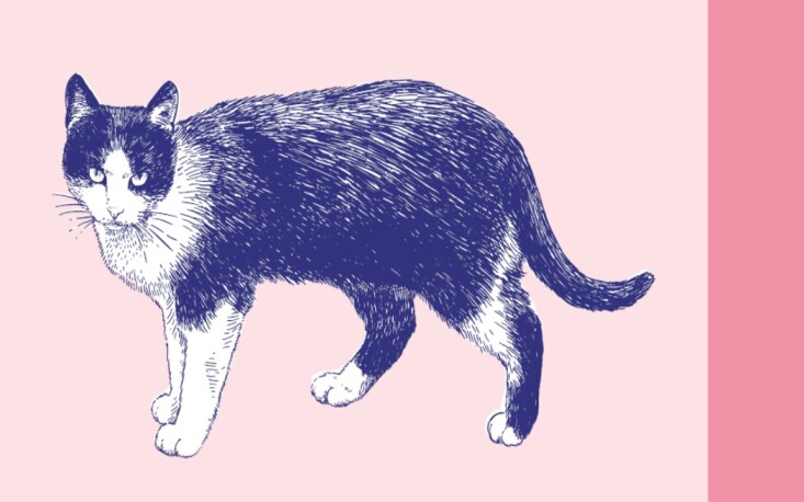 A arte de curar mentes: h&aacute; 120 anos, nascia a m&eacute;dica pioneira no Brasil no uso da arte para reabilitar pacientes com transtornos mentais