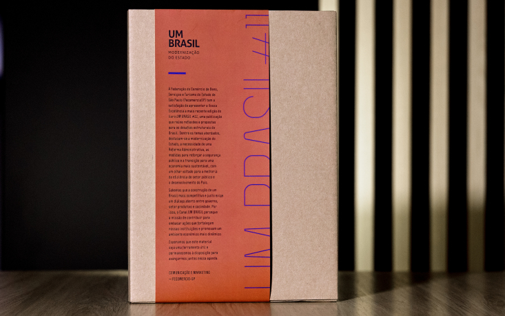 Seguran&ccedil;a p&uacute;blica exige estrat&eacute;gia, investimento e presen&ccedil;a institucional duradoura