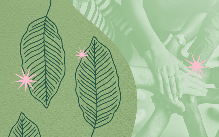 Riscos do novo licenciamento ambiental e avan&ccedil;o da representividade feminina em pauta