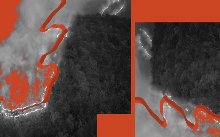 Impactos de queimadas florestais podem durar d&eacute;cadas, com perda de biodiversidade e piora da qualidade da &aacute;gua