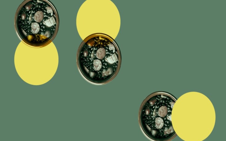 Prato nacional em caldo de &lsquo;fake news&rsquo;