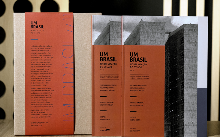 Inova&ccedil;&atilde;o e governo digital: o futuro da gest&atilde;o p&uacute;blica no Brasil