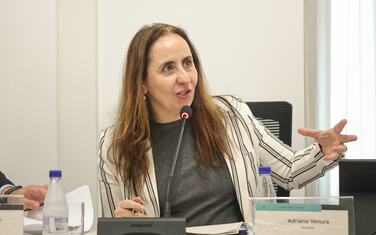 A deputada Adriana reconheceu a necessidade de cautela ao desenvolver um marco regulat&oacute;rio que afete o setor